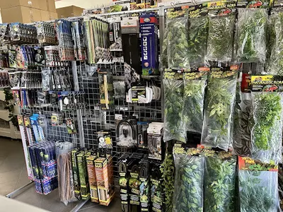 Jadowite.pl - sklep terrarystyczny